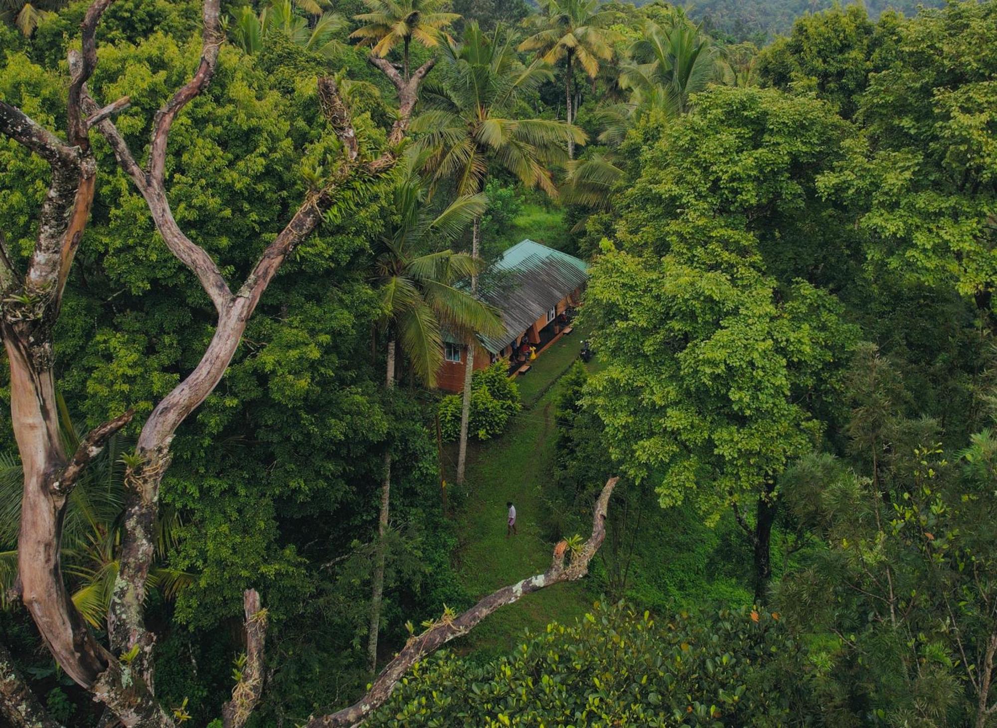 Punarjani Ayurvedic Resorts Ramakkalmedu Exterior foto