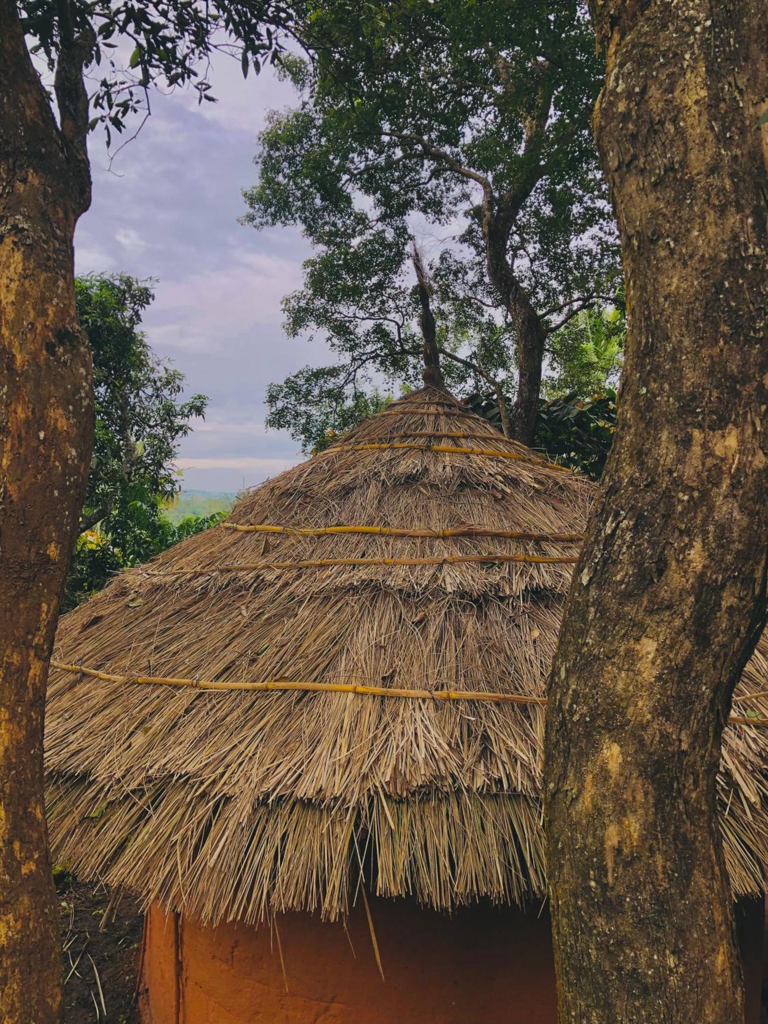 Punarjani Ayurvedic Resorts Ramakkalmedu Exterior foto