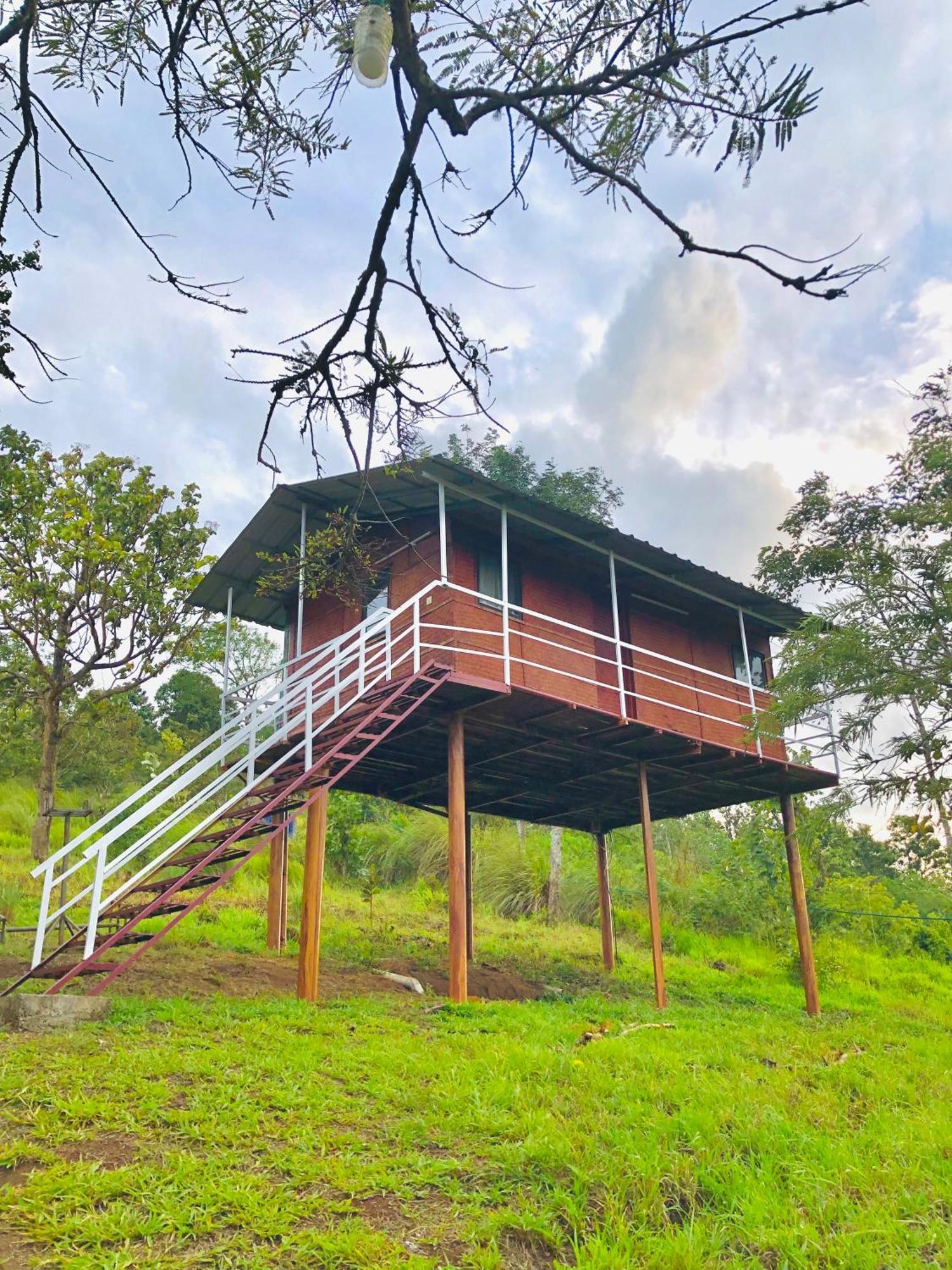 Punarjani Ayurvedic Resorts Ramakkalmedu Exterior foto